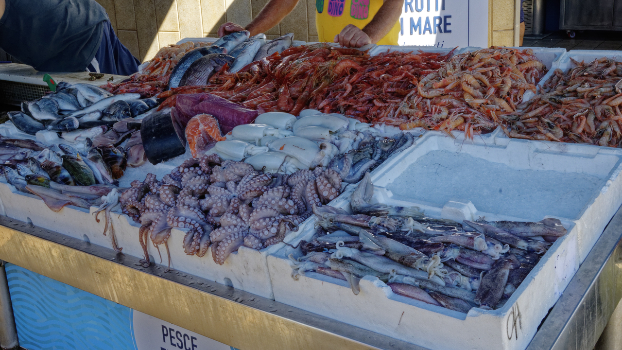 20160821 102328•Gallipoli•Apulia•Italy
